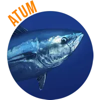 Atum